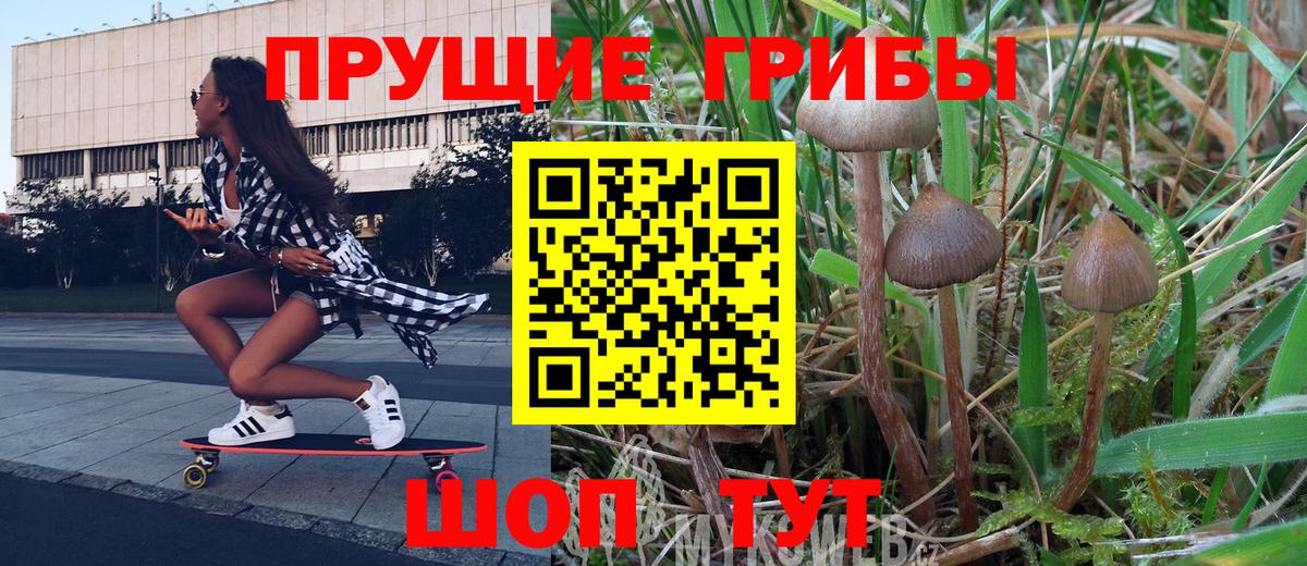 Псилоцибиновые грибы MAGIC MUSHROOMS  Вход с VPN  Псилоцибиновые грибы прущие грибы  сколько стоит  Ярославль 