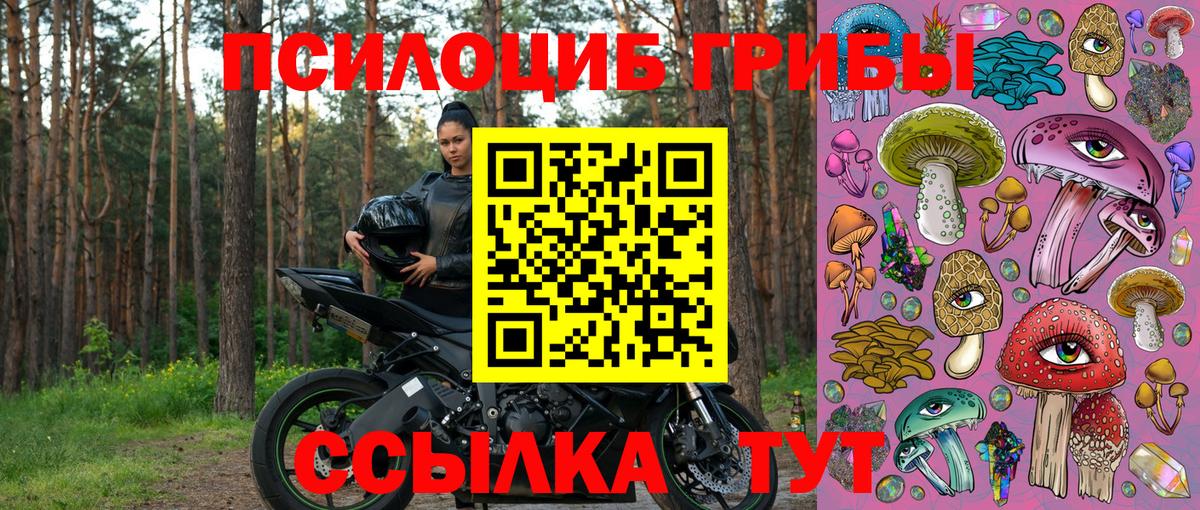 Галлюциногенные грибы Magic Shrooms Ярославль